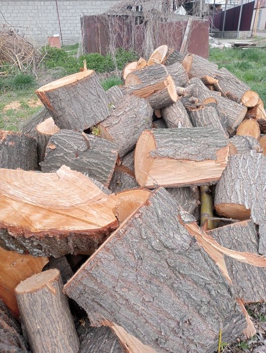 Продам дрова карагаш