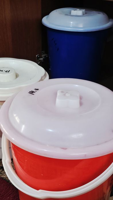 ASAL- ( 7-yilik. Kg 150 000 )