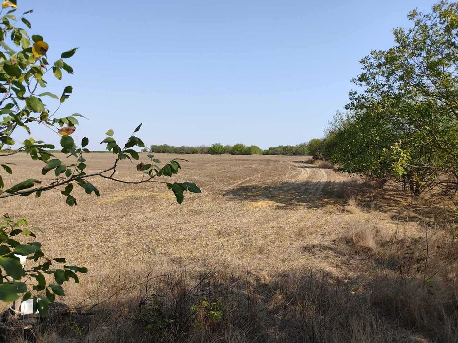 Продава се Парцел в с. Крапец, Област Добрич - 2500 кв.м за 31 €/кв.м - Снимка #2