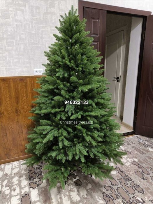 Новогодние Ёлки 2025 Скидка