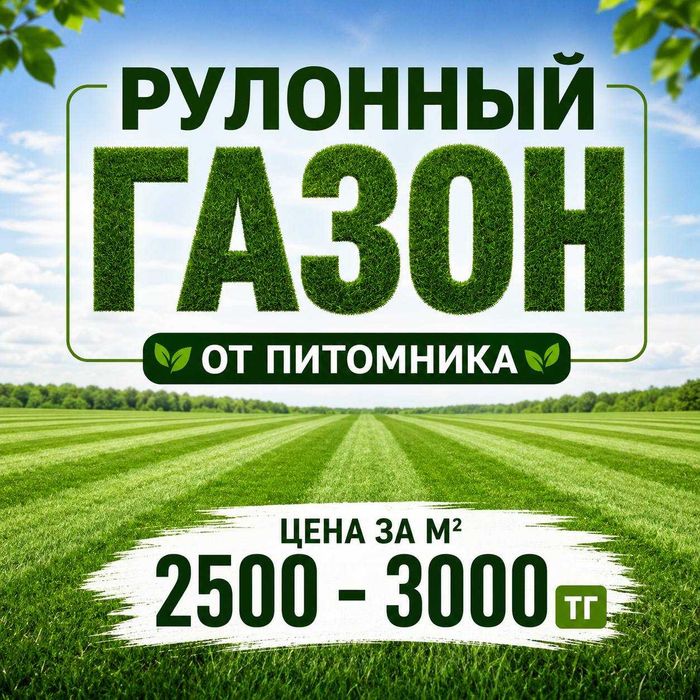 РАСПРОДАЖА рулонный газон купить в Алматы Натуральный газон Гатовый