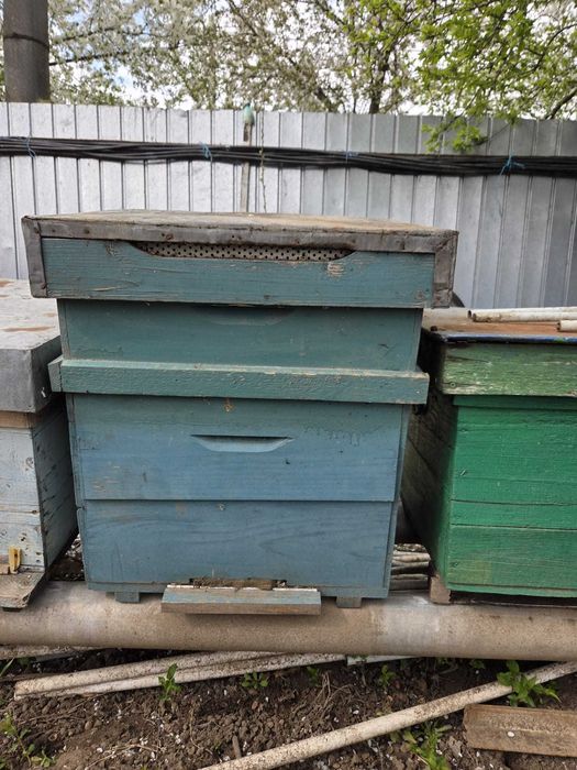 Vand cutii albine - jumatate de cat - Braila