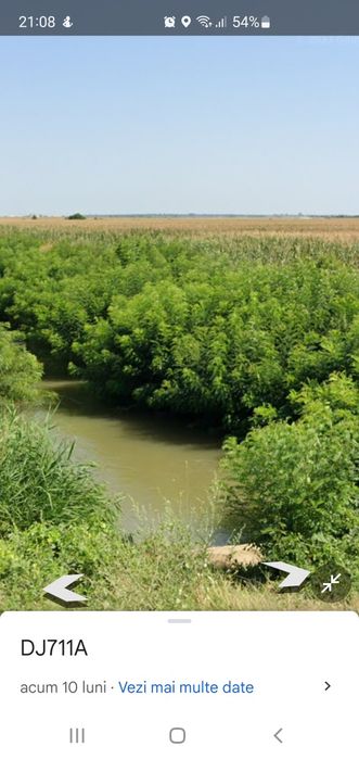 Teren extravilan Pitaru DB 45000 mp