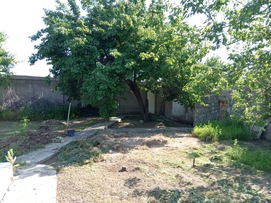 Дача сотилади 6 сотик