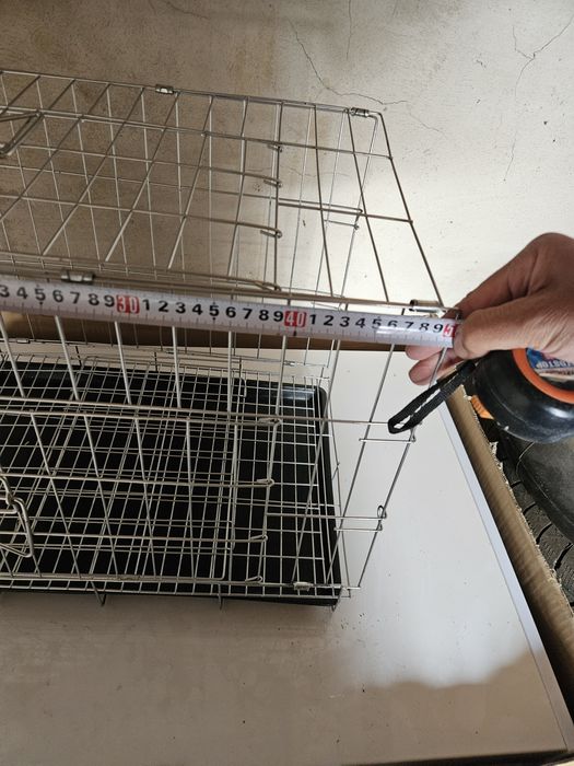 Голуби в удобстве