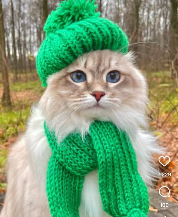 Массаж на выезд Алматы