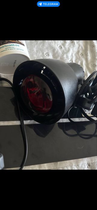 Продам комплект для рептилий