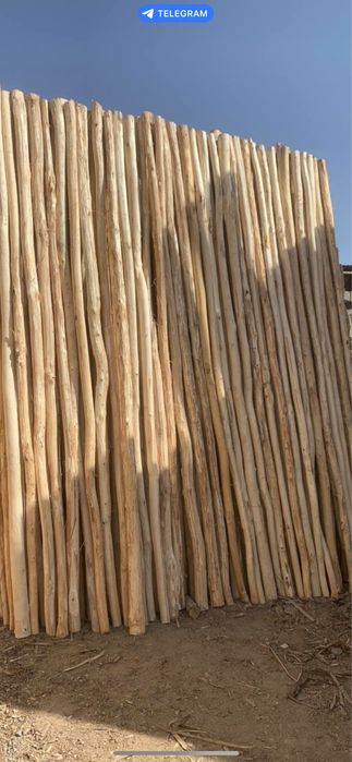 Терак Стойка