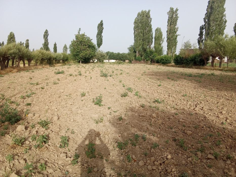 Уи сатилади тезда