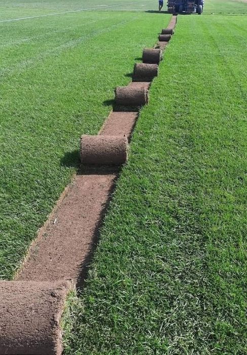 Gazon rulou sisteme de irigare