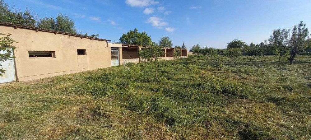 Ер участкаси Нурафшон шахар, Тошкент шахаридан узок булмаган худудда