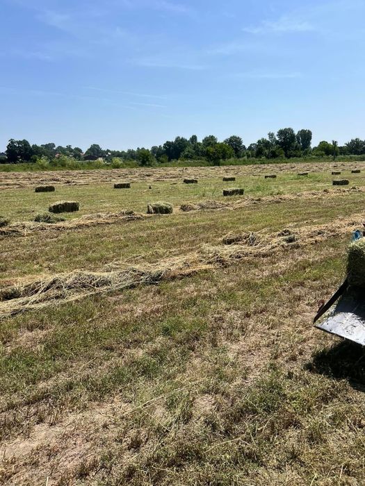 De vanzare baloti de fan si lucerna cantitati  mari si mici!