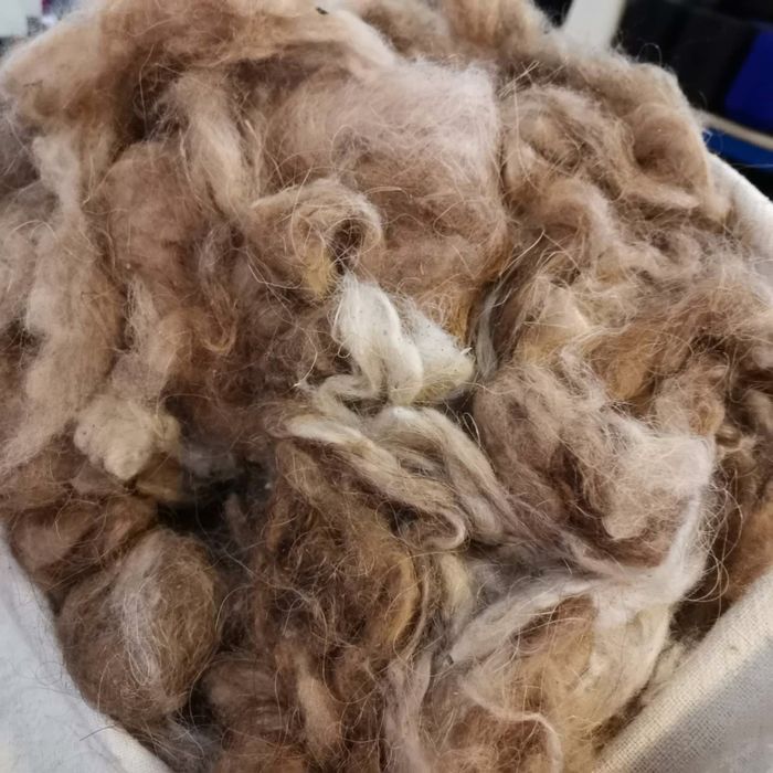 Тап таза түйе жүні