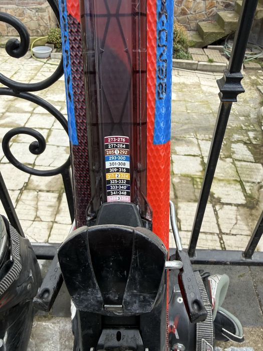 Ски , ски обувки и щеки.