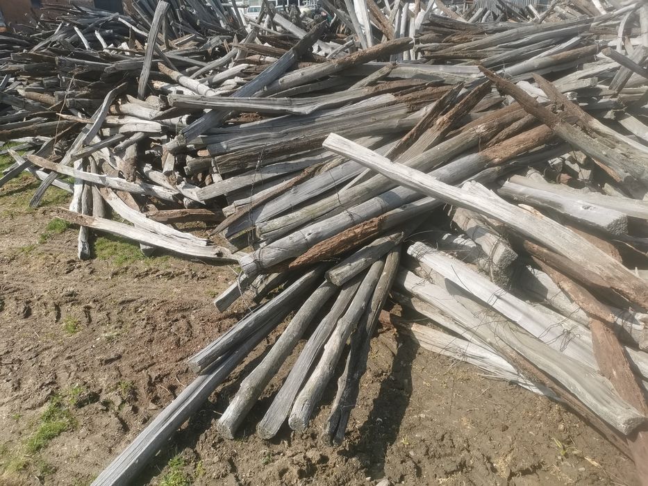 Акация за огрев колове