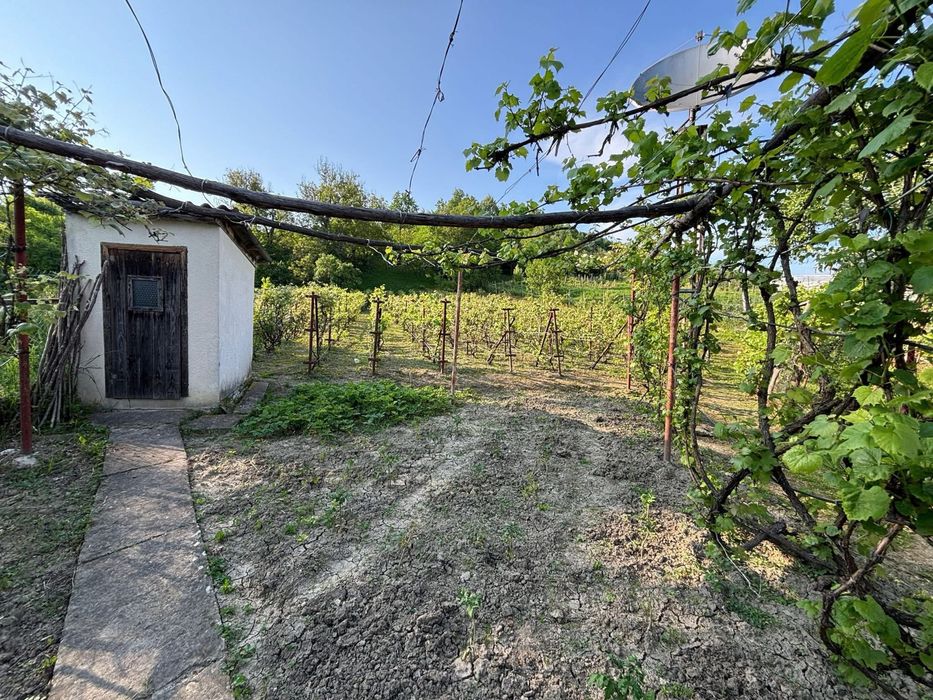 CASA, ANEXE si teren