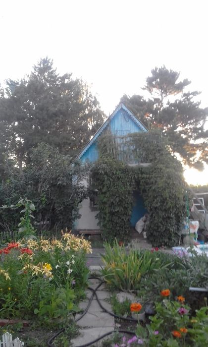 Продам красивую  дачу