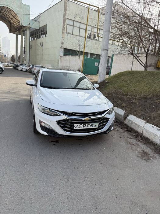 Малибу премьер 22800