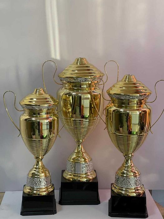 Кубки спортивные