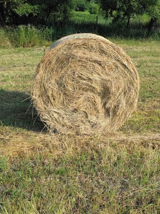 Vând baloți de fân