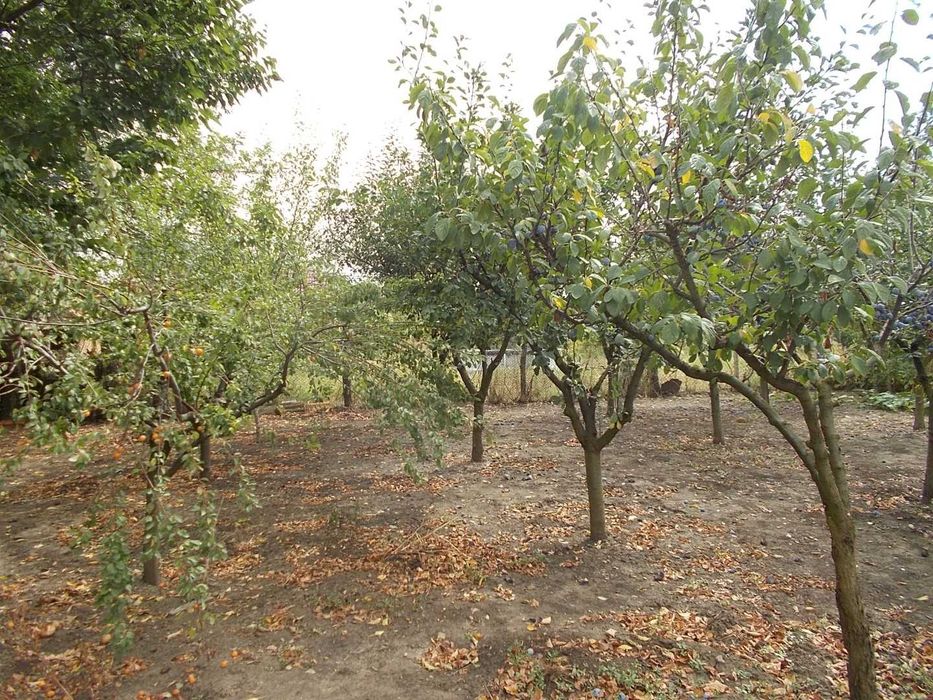 Продава се Къща в с. Преспа, Област Добрич - 87 кв.м за 334 €/кв.м - Снимка #11