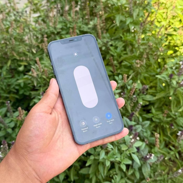 IPhone 12 Pro Max 256 Gb ideal
