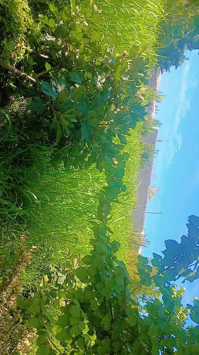 Uy sotiladi 20 sotgdan ziyod