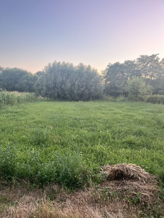 Teren intravilan comuna Umbraresti sat Torcesti