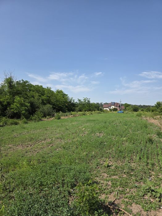 Teren intravilan BRANESTI PASAREA