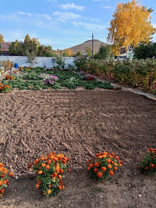 Дача в обществе СПП