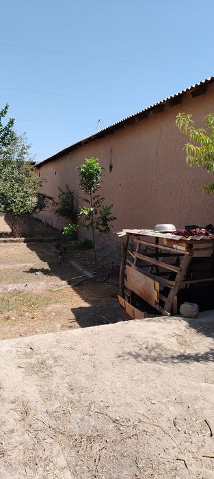 Yer uchastkasi sotiladi shinam joy