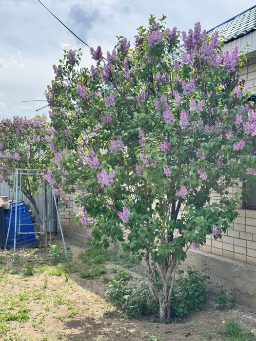СРОЧНО продается дом!