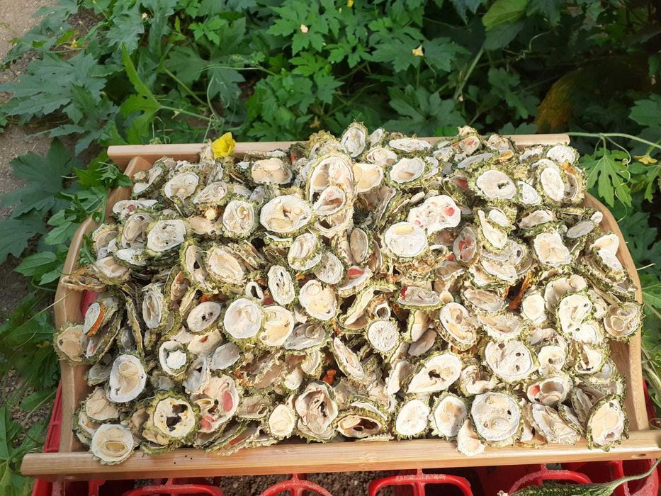 Castraveți amari uscați 100g BIO 100% naturali