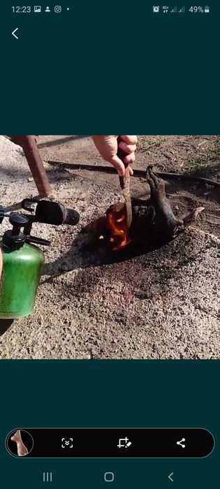 Қой тоқтылар сатылады