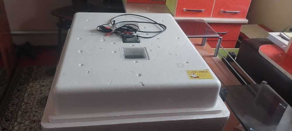 Инкубатор несушка