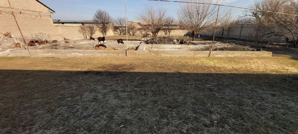 Гиждувон тум.Соктари мфйда Янгиободда  жойлашган  20 сотих ер сотилади