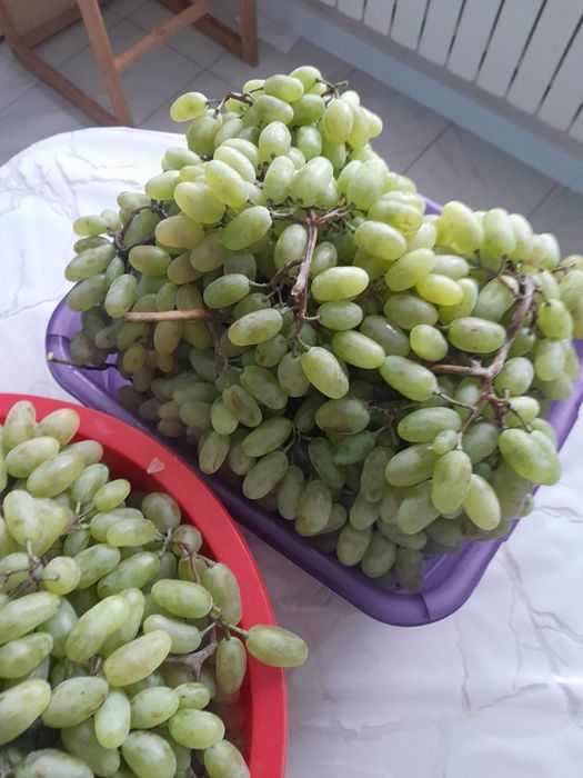 Виноград продается