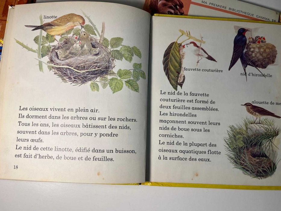 Pachet 6 carti in limba franceza pentru copii - 65 lei