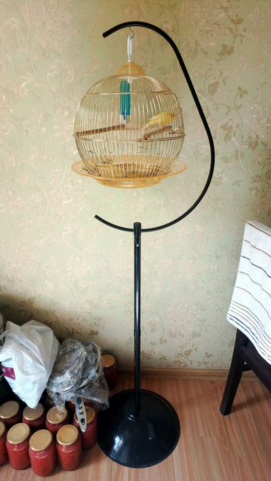 Канарейка сотилади