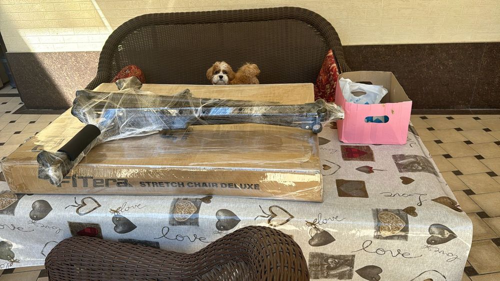 Грузоперевозки Узбекистан Россия