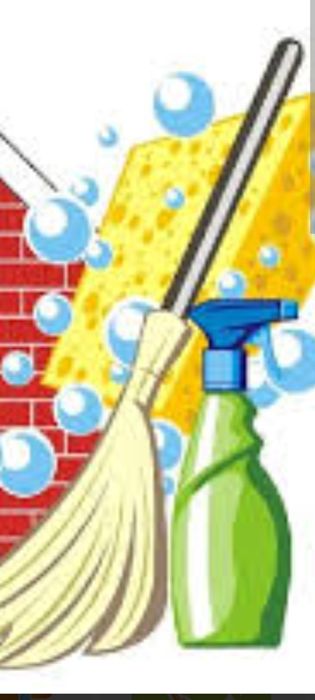 Curatenie case-apartamente-birouri,curti,gradini,curatare pomi,