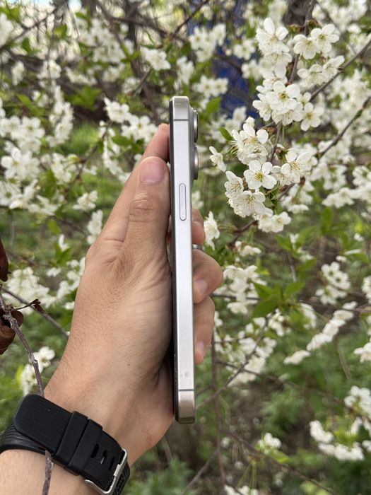 iPhone 15 Pro Max · 512 GB