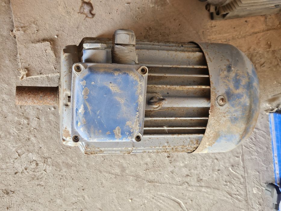 Ағаш кесетін Тайга Мотор