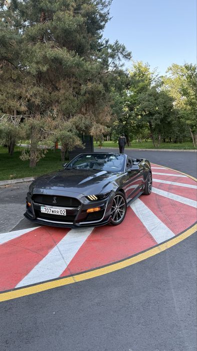 Аренда  прокат Ford Mustang