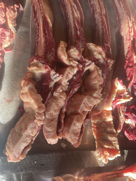 Екі елі бие 4 жасар