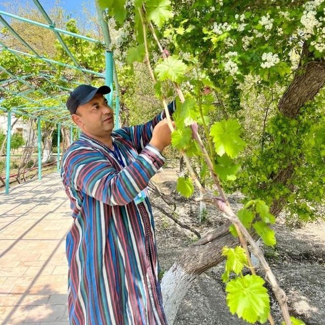 Гид-экскурсовод по Бухаре