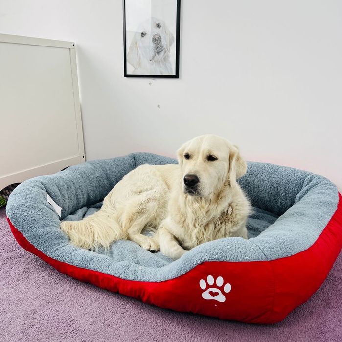 Легло за голямо куче с лапичка ХХЛ червен