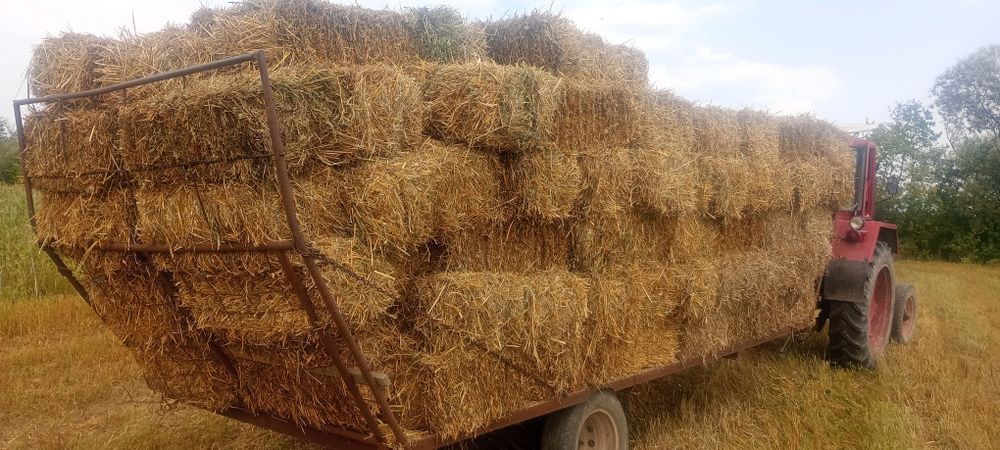 Vând Baloți paie Porumb Tricale Ovăz