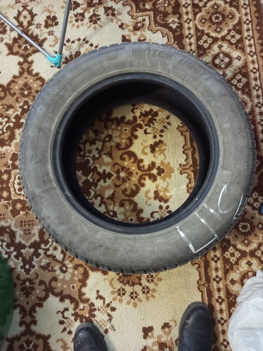 Шина зимняя с шипами
