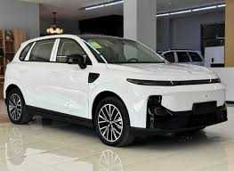 leapmotor b10 pad zakaz